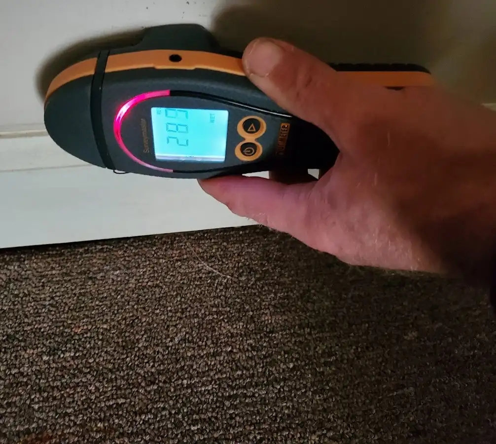 Moisture detection at baseboard during Mold Inspection & Testing in Lexington